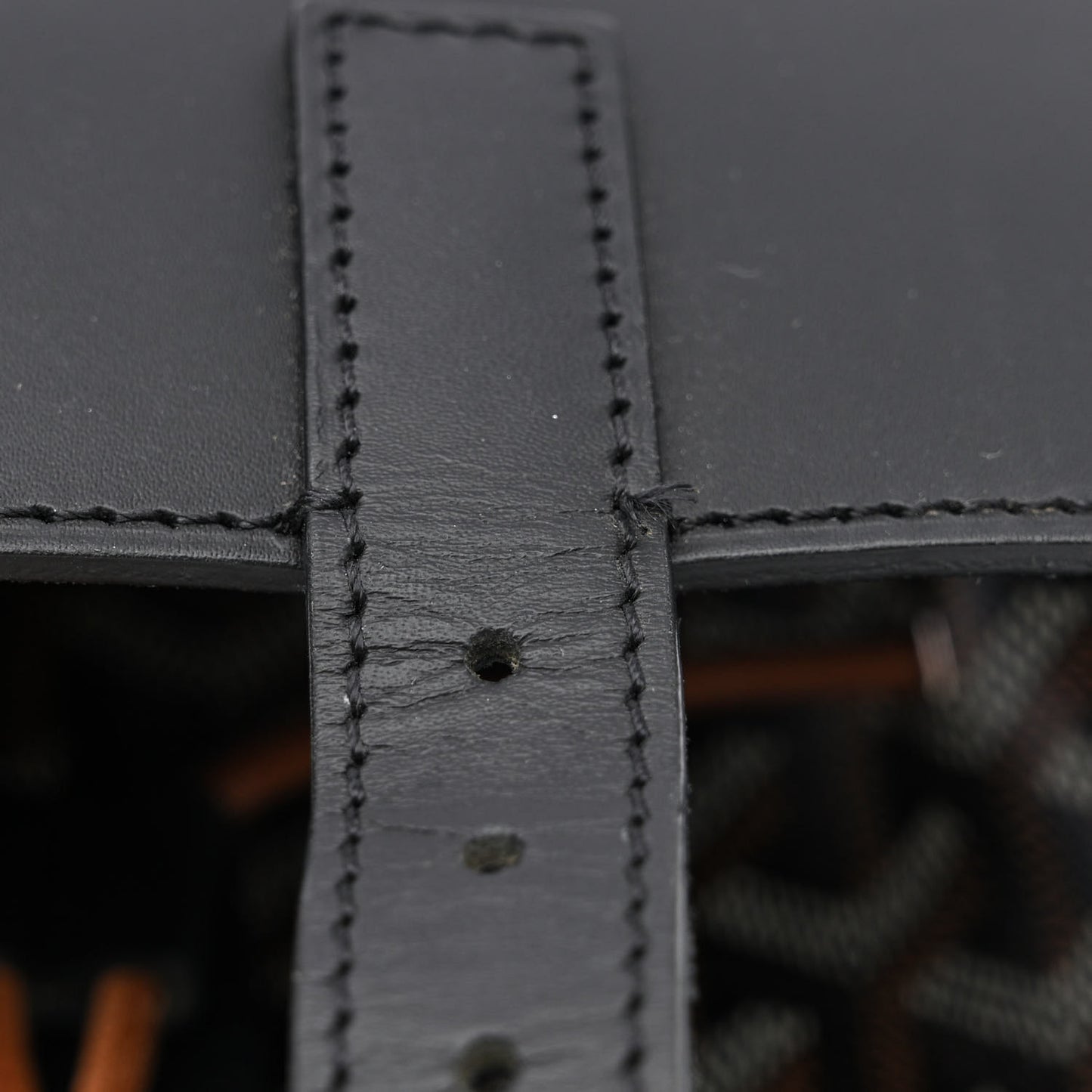 Goyardine Calfskin Alpin MM Backpack Black