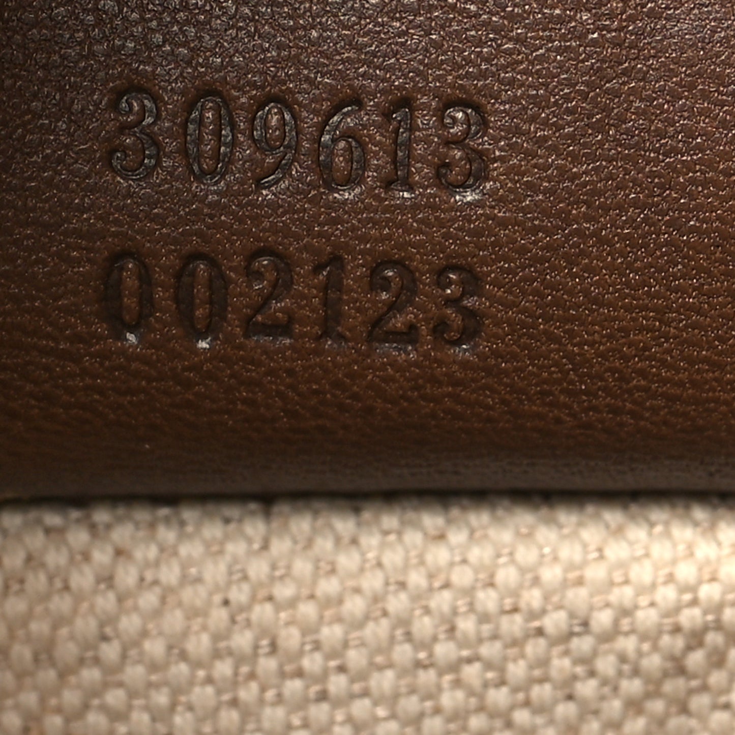 GG Supreme Monogram Medium Nice Tote Brown