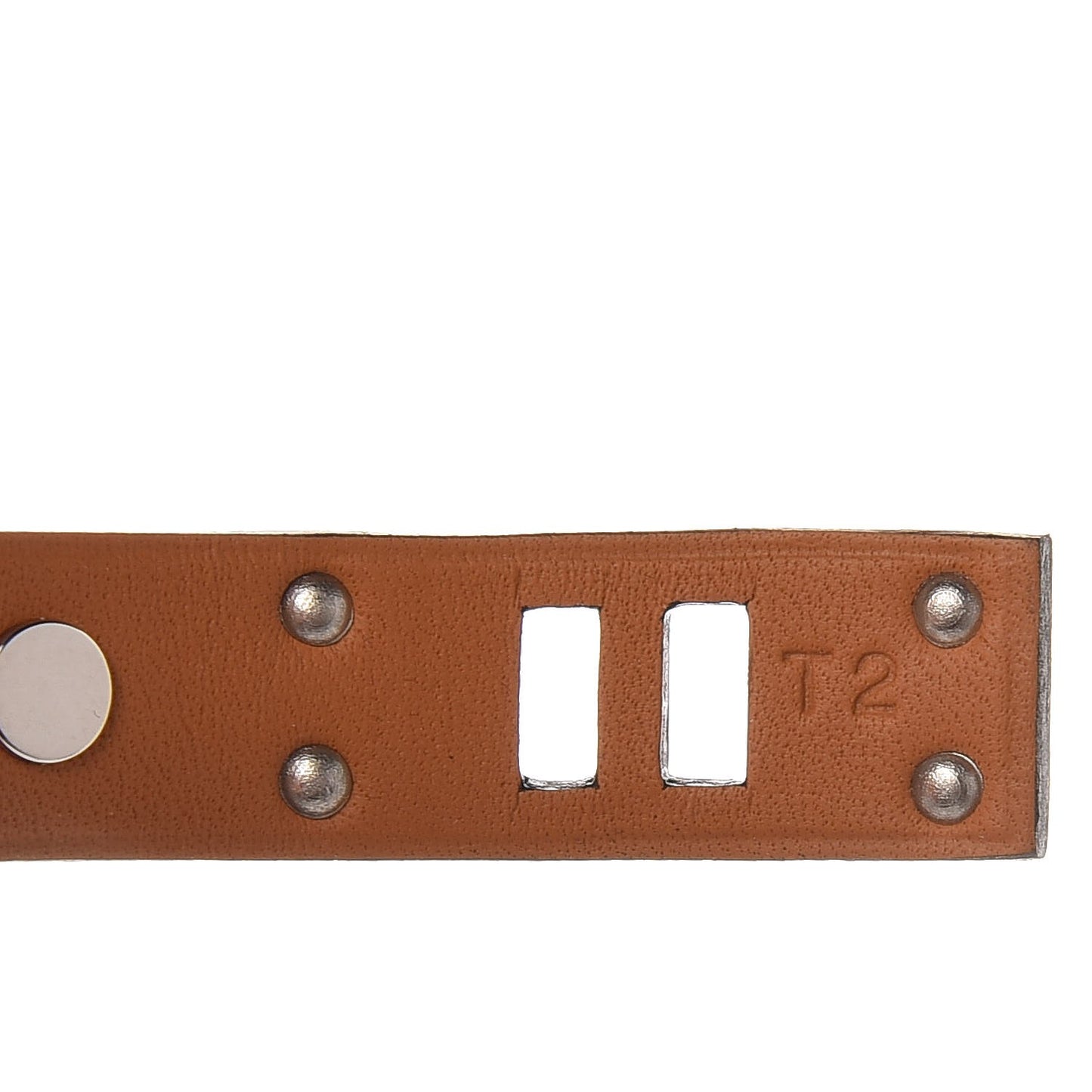 Swift Mini Dog Clous Ronds Bracelet T2 Bleu Electrique