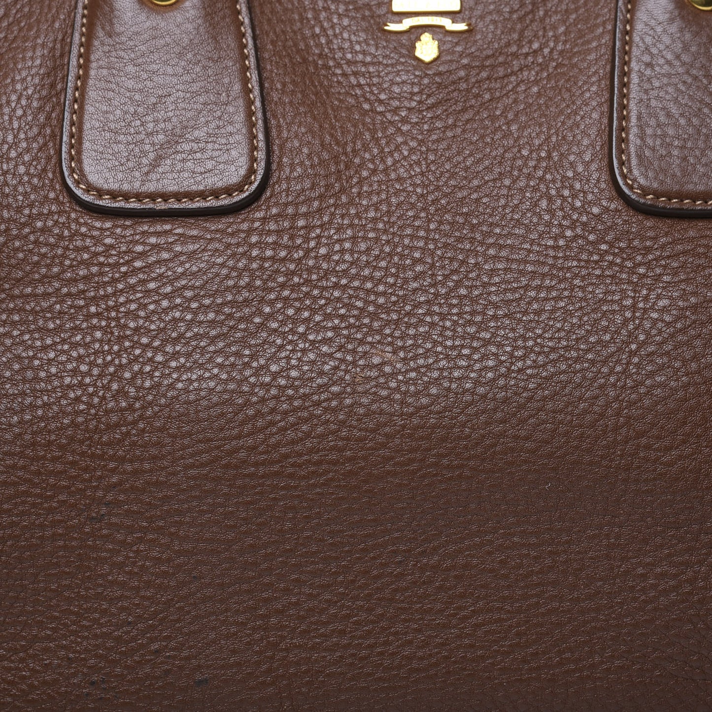 Vitello Daino Tote Palissandro