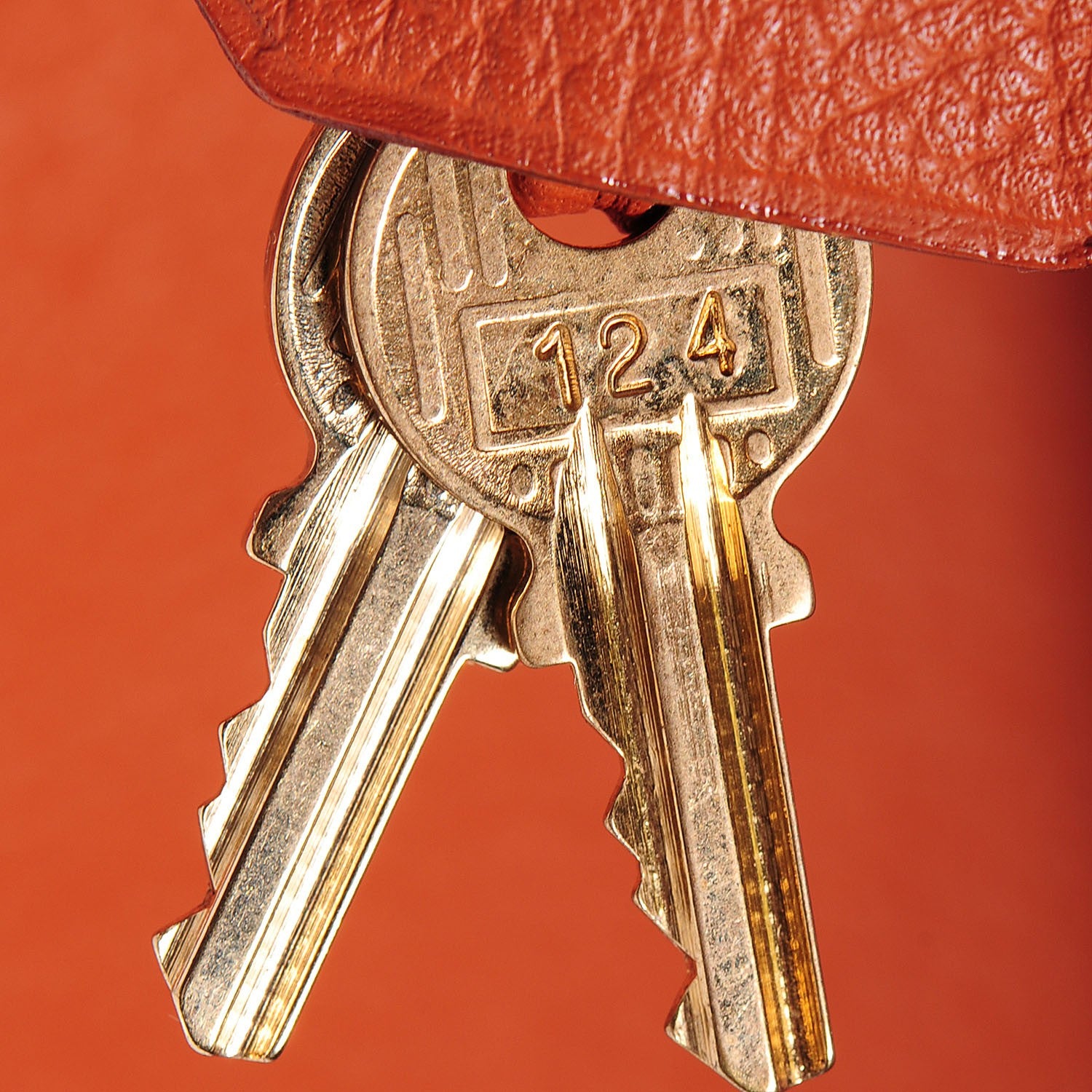 Hermes Taurillon Clemence Kelly Retourne 40 Etrusque 18 of 24
