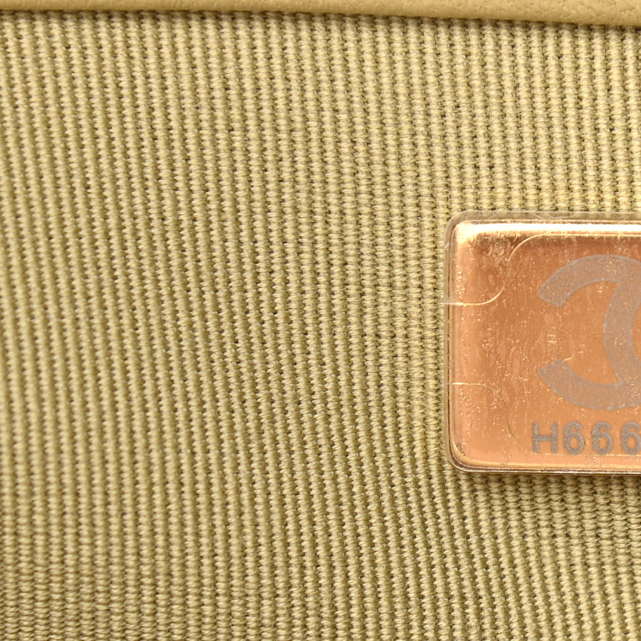 Lambskin Quilted Medium Chanel 19 Flap Light Green