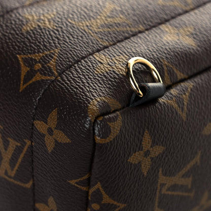Louis Vuitton Monogram Palm Springs Backpack Mini 11 of 11