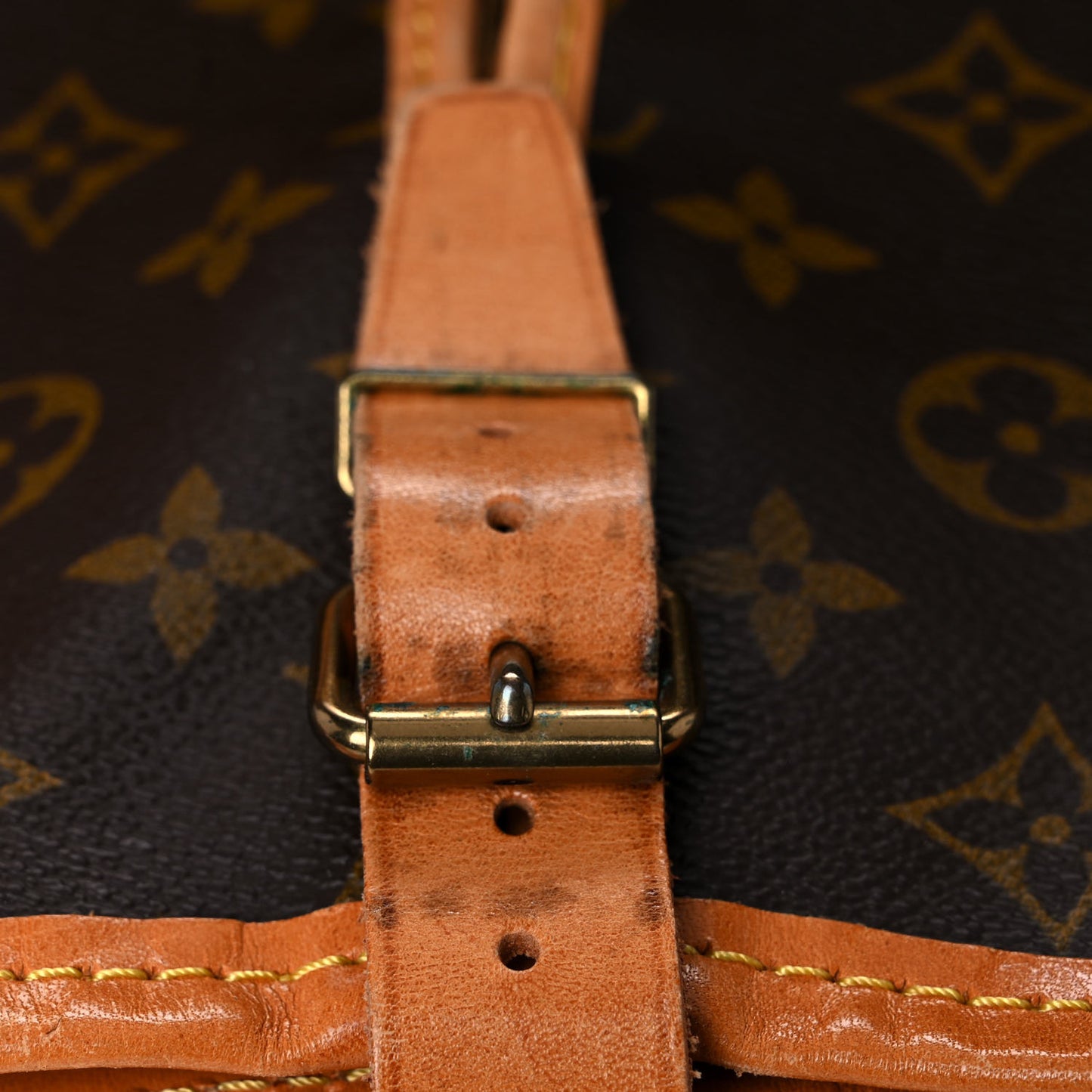 Monogram Garment Carrier