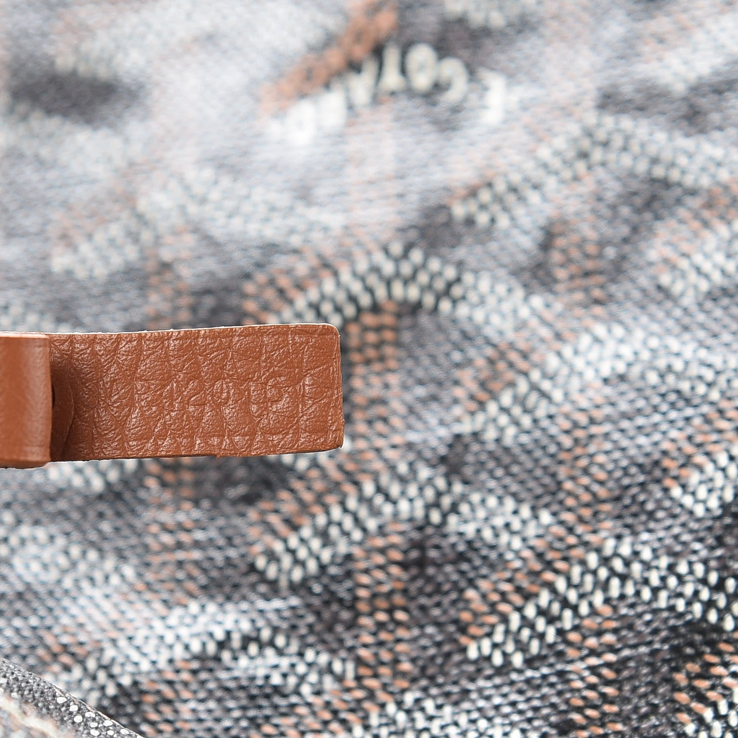 Goyard Goyardine Saint Louis PM Black Gold 9 of 14