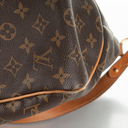 Louis Vuitton Monogram Delightful GM 12 of 14
