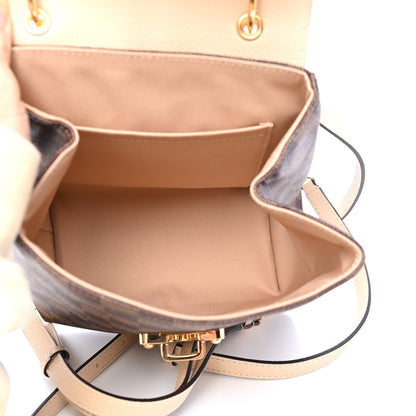 Louis Vuitton Damier Ebene Clapton Backpack Creme 4 of 6