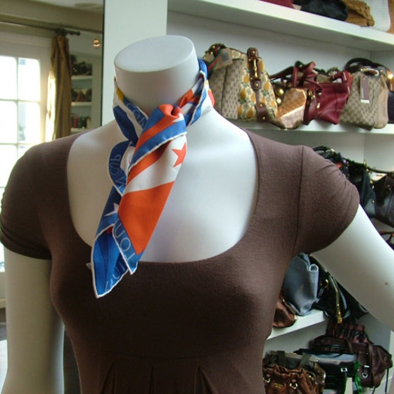Silk Scarf Cup w/Compass Bag