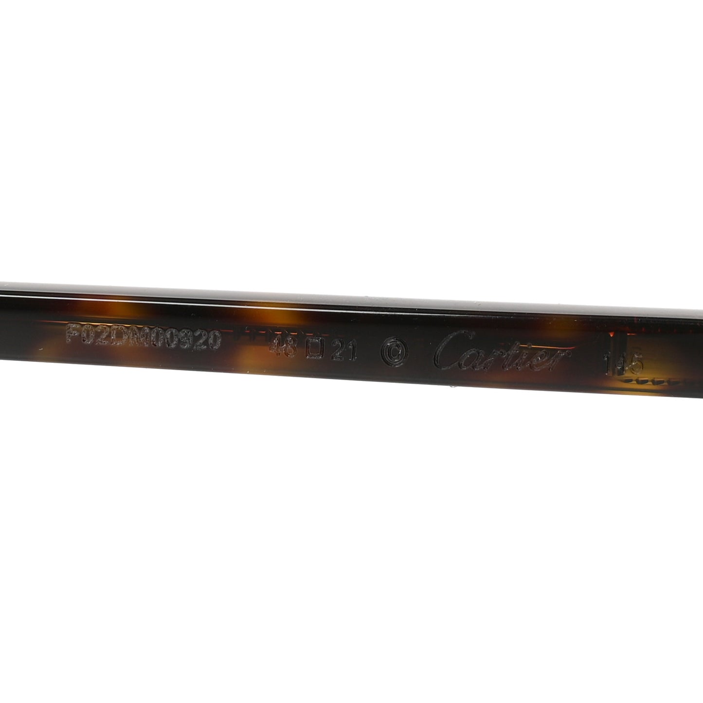 Acetate CT0540S Sunglasses Havana