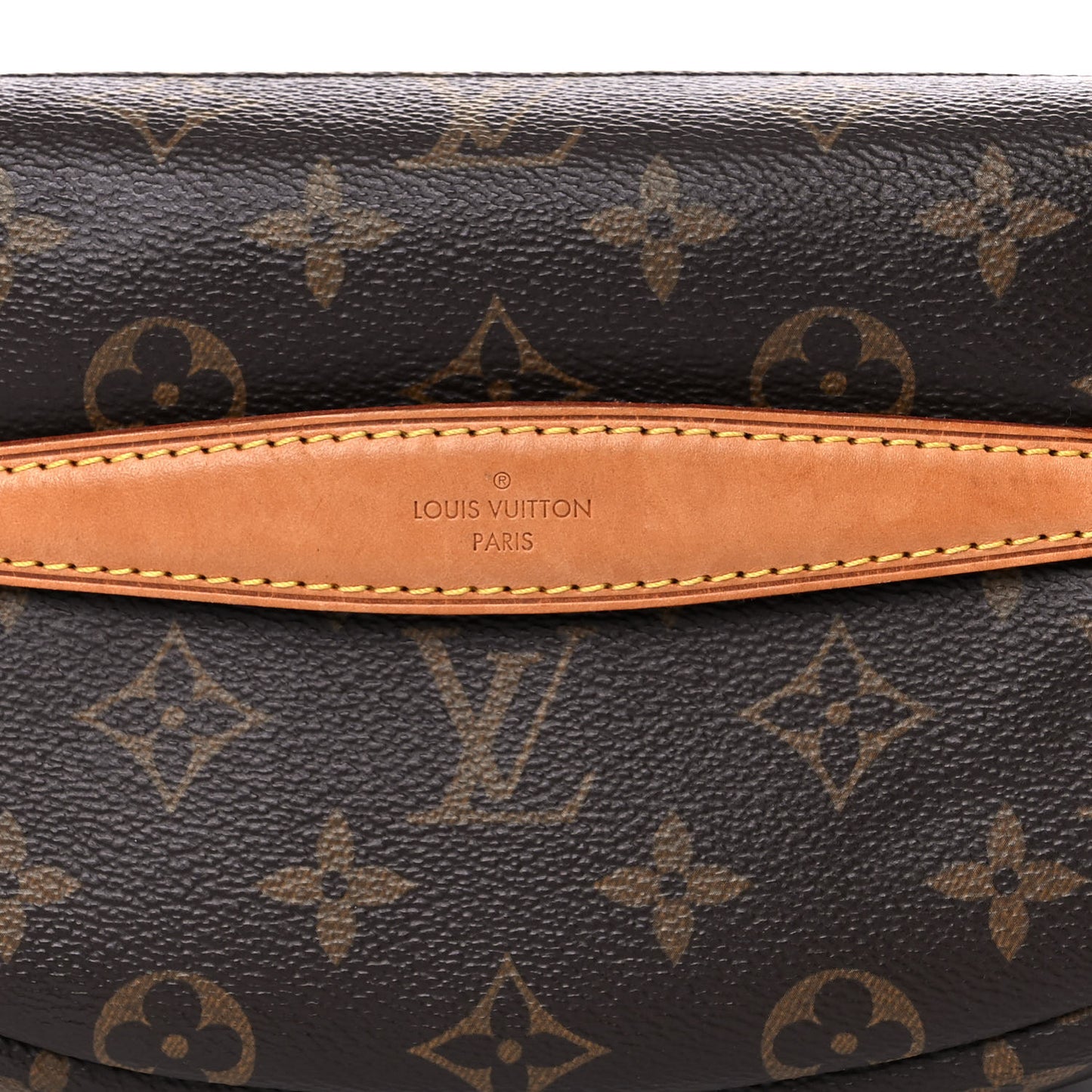 Monogram Bumbag