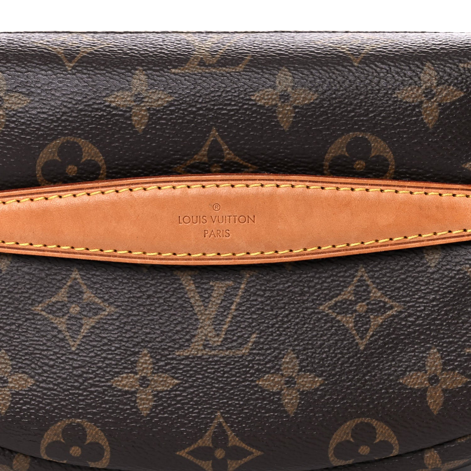 Louis Vuitton Monogram Bumbag 12 of 17