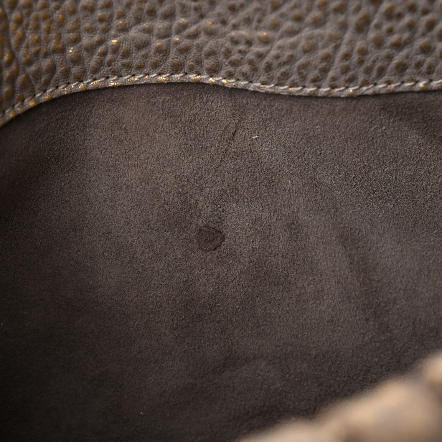 Bottega Veneta Metallic Cervo Illusion Duo Bronze 9 of 12