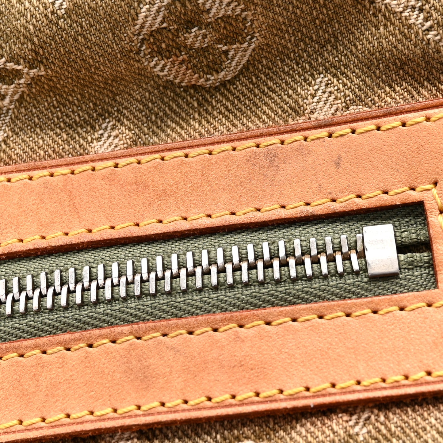 Monogram Denim Baggy PM Lichen