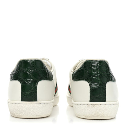 Gucci Calfskin Crocodile Web Womens Ace Sneakers 35 White Green 4 of 9