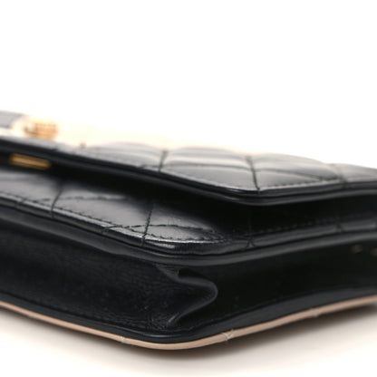 Chanel Aged Calfskin Quilted Reissue Wallet On Chain WOC Beige Black 11 of 14