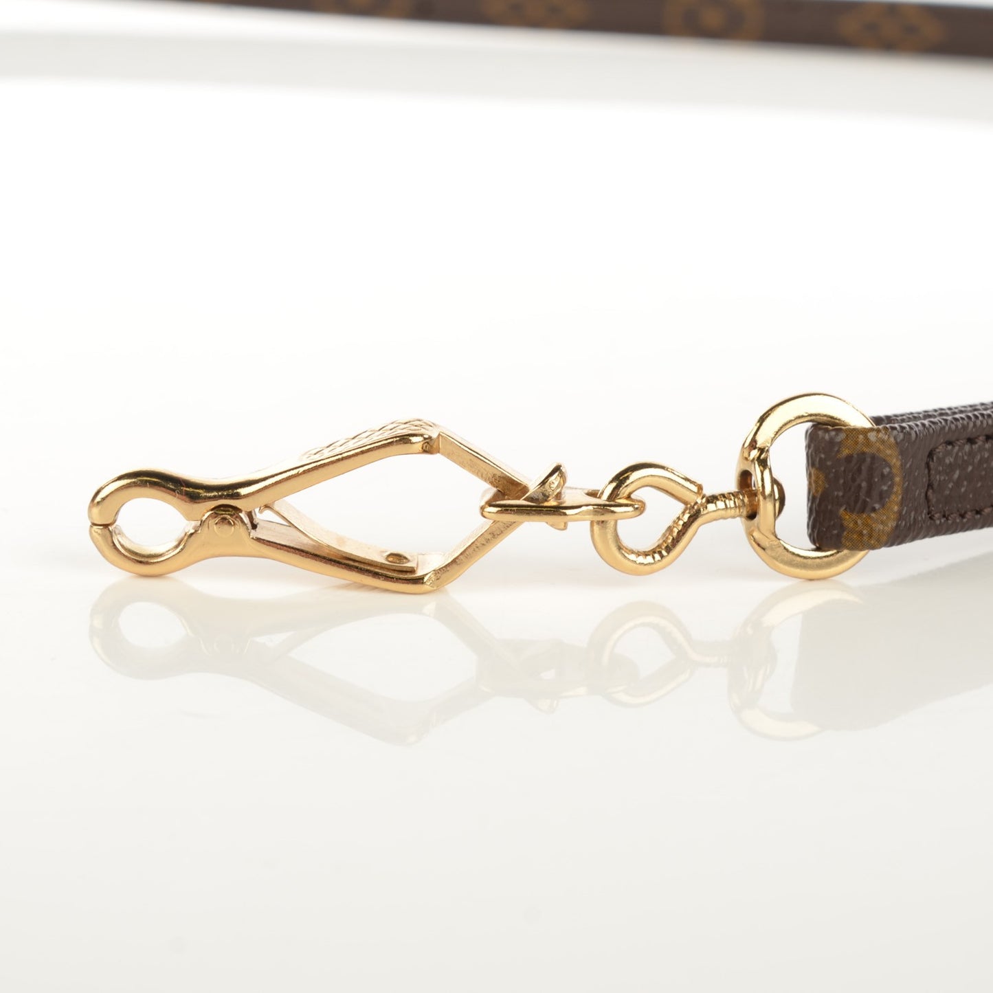 Monogram Baxter Dog Leash MM