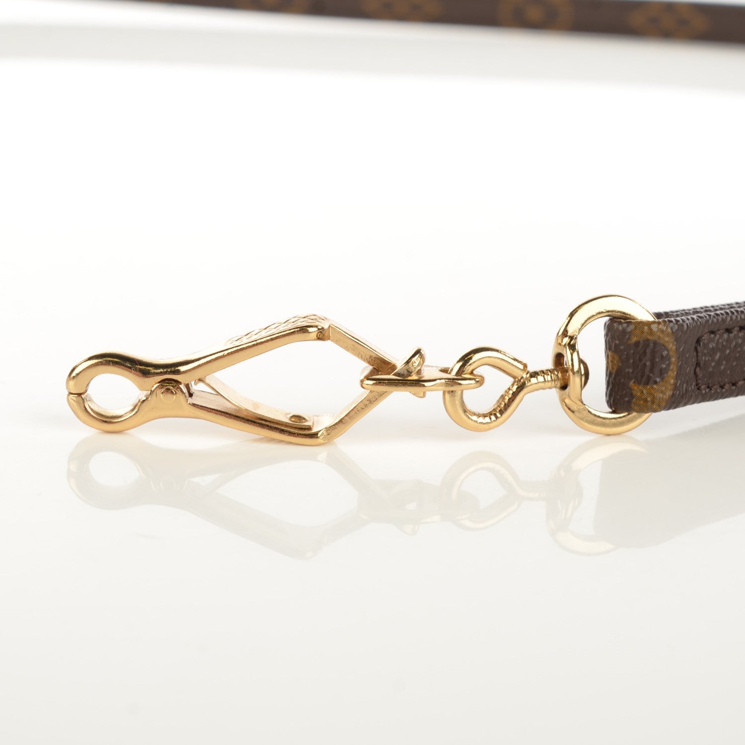 Louis Vuitton Monogram Baxter Dog Leash MM 3 of 6