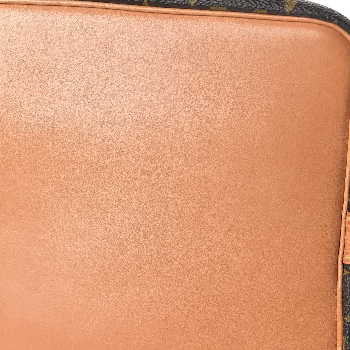 Monogram Petit Noe