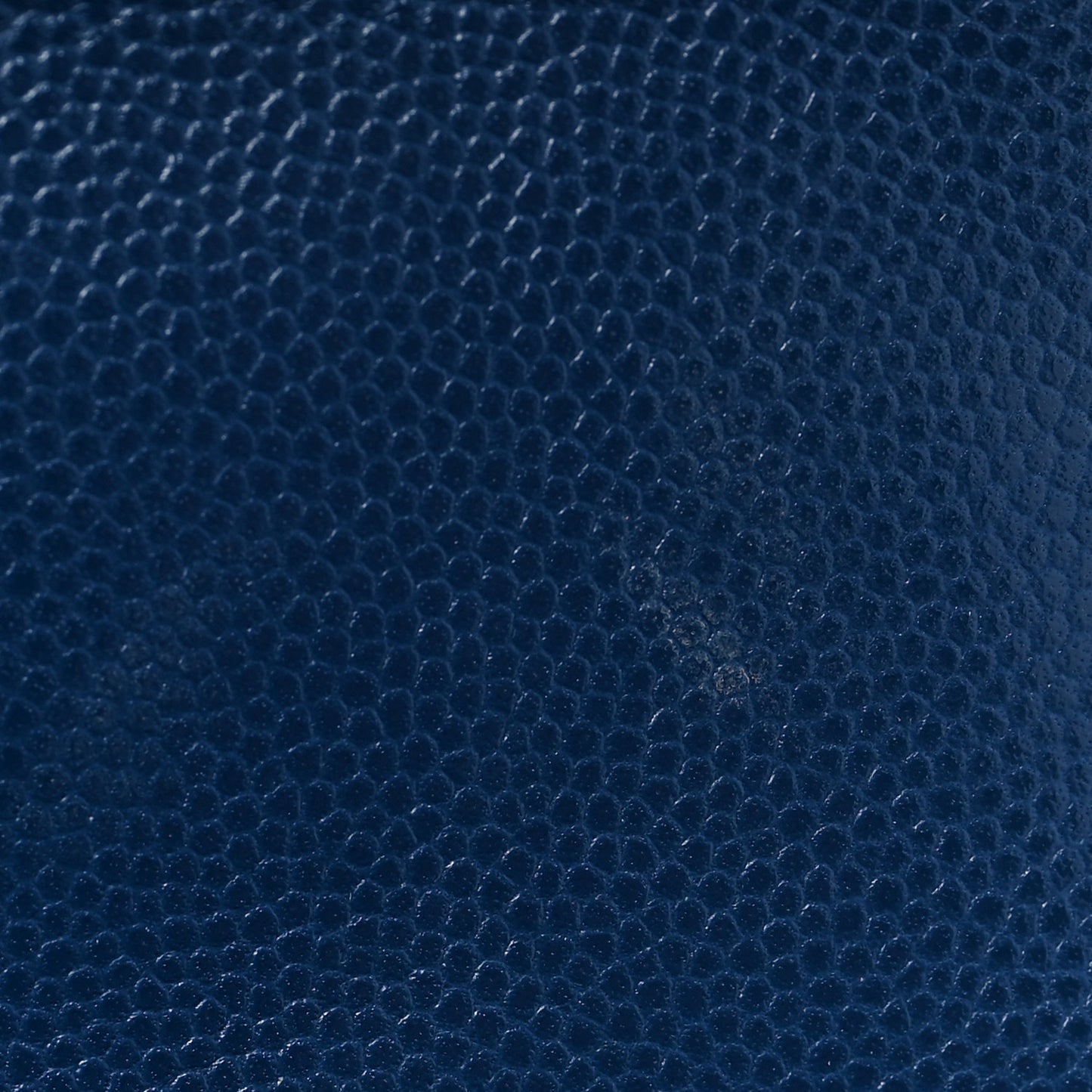 Caviar Quilted Lizard Embossed Mini Coco Handle Flap Dark Blue