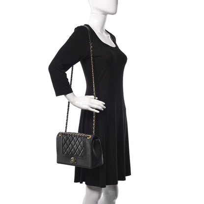 Chanel Sheepskin Quilted Vintage Mademoiselle Flap Black 2 of 17