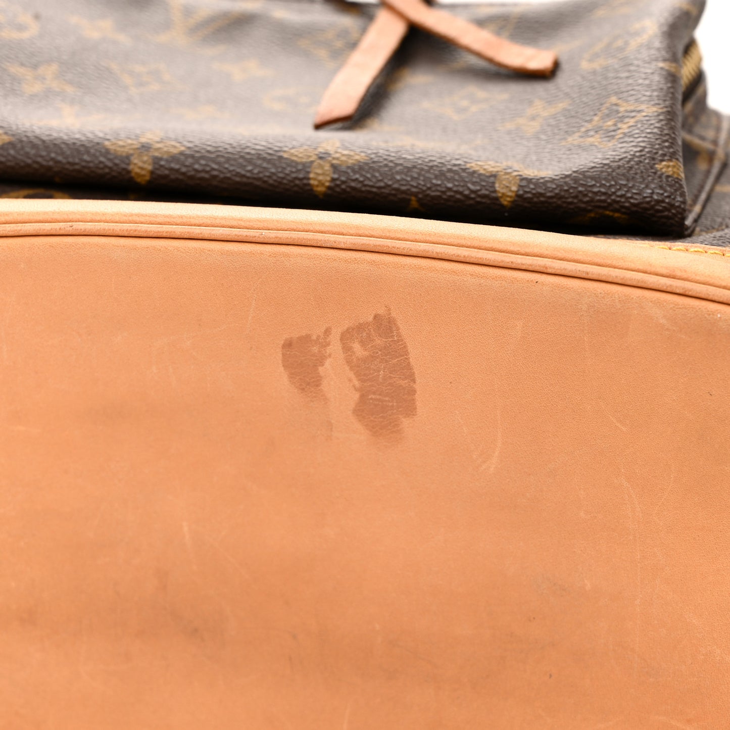 Monogram Montsouris GM Backpack