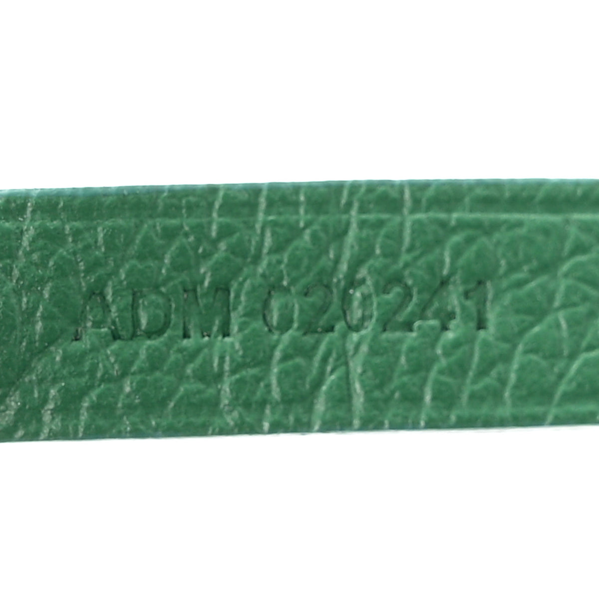 Goyard Goyardine Saint Louis PM Green 14 of 21