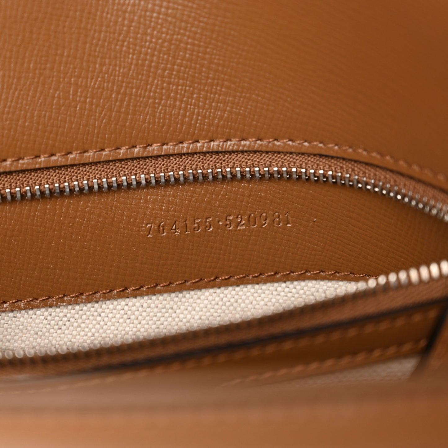 Monogram Small Horsebit 1955 Asymmetric Shoulder Bag