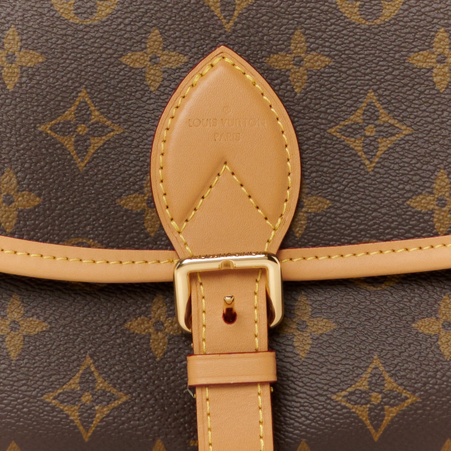 Louis Vuitton Monogram Diane Fuchsia 8 of 10