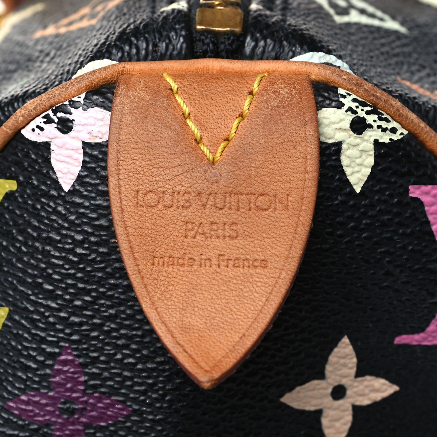 Monogram Multicolor Speedy 30 Black