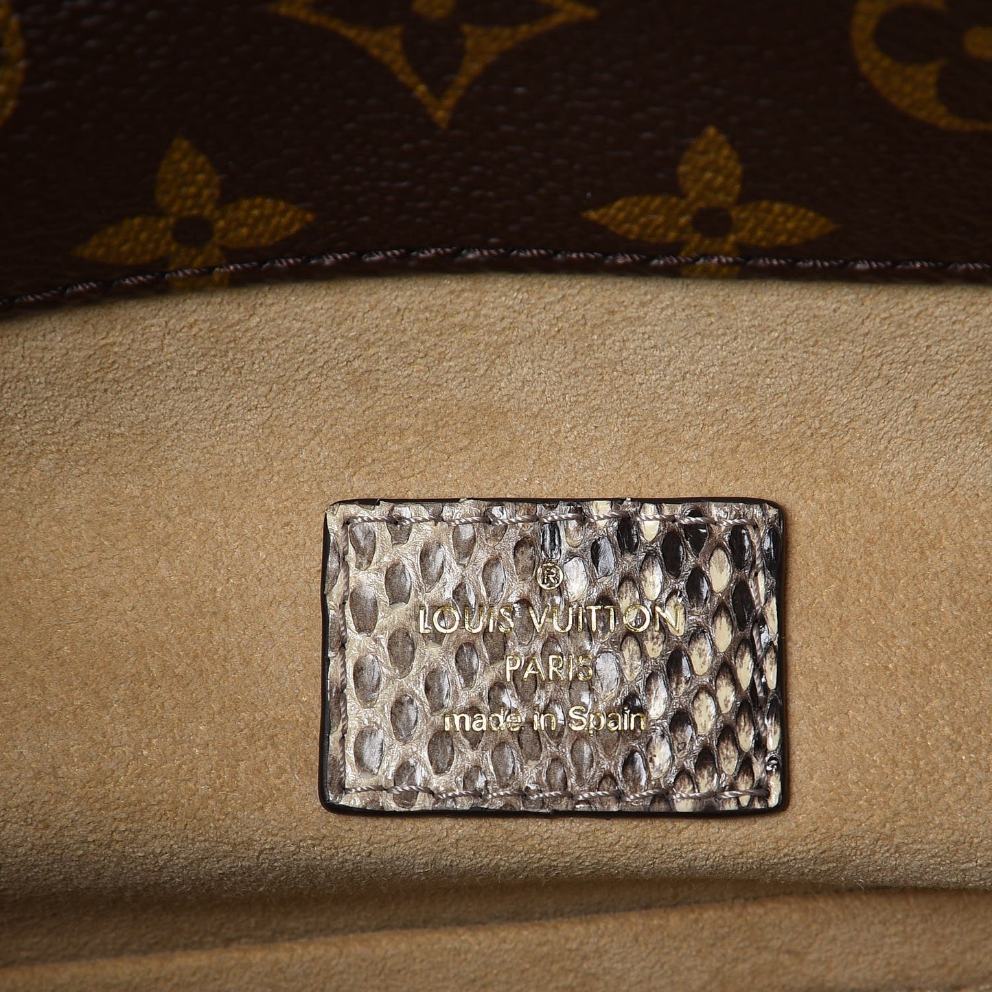 Snakeskin Monogram Artsy MM