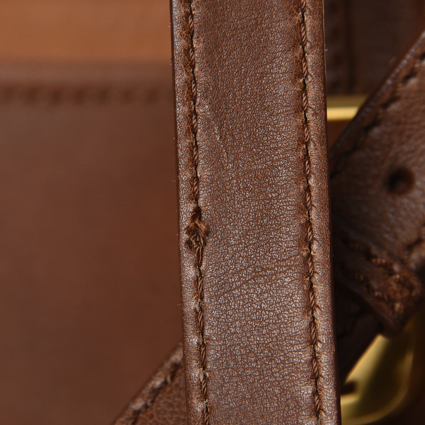 Capra Vitello Saddle Colorblock Large Chameleon Tote Moro Biscotto
