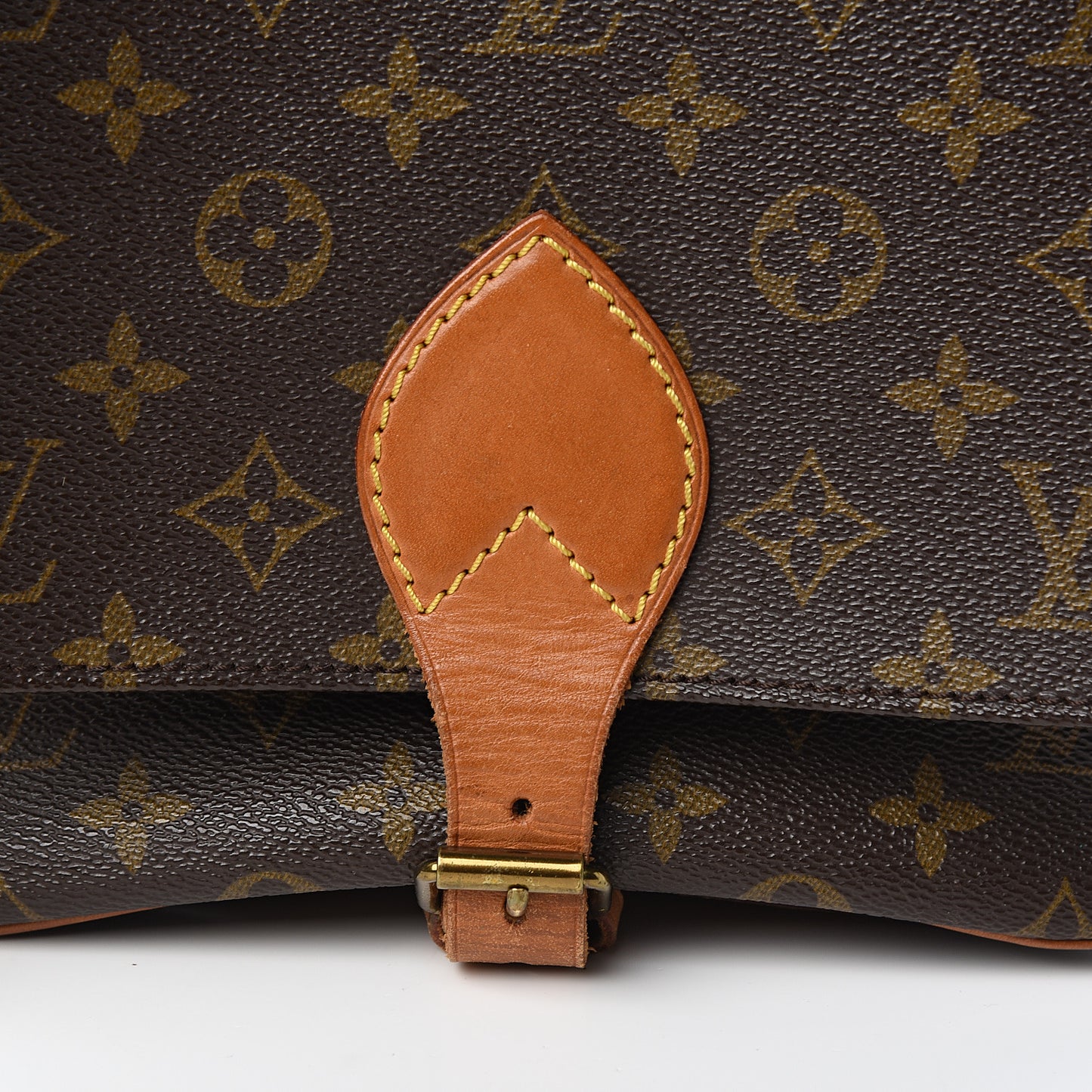 Monogram Cartouchiere 22