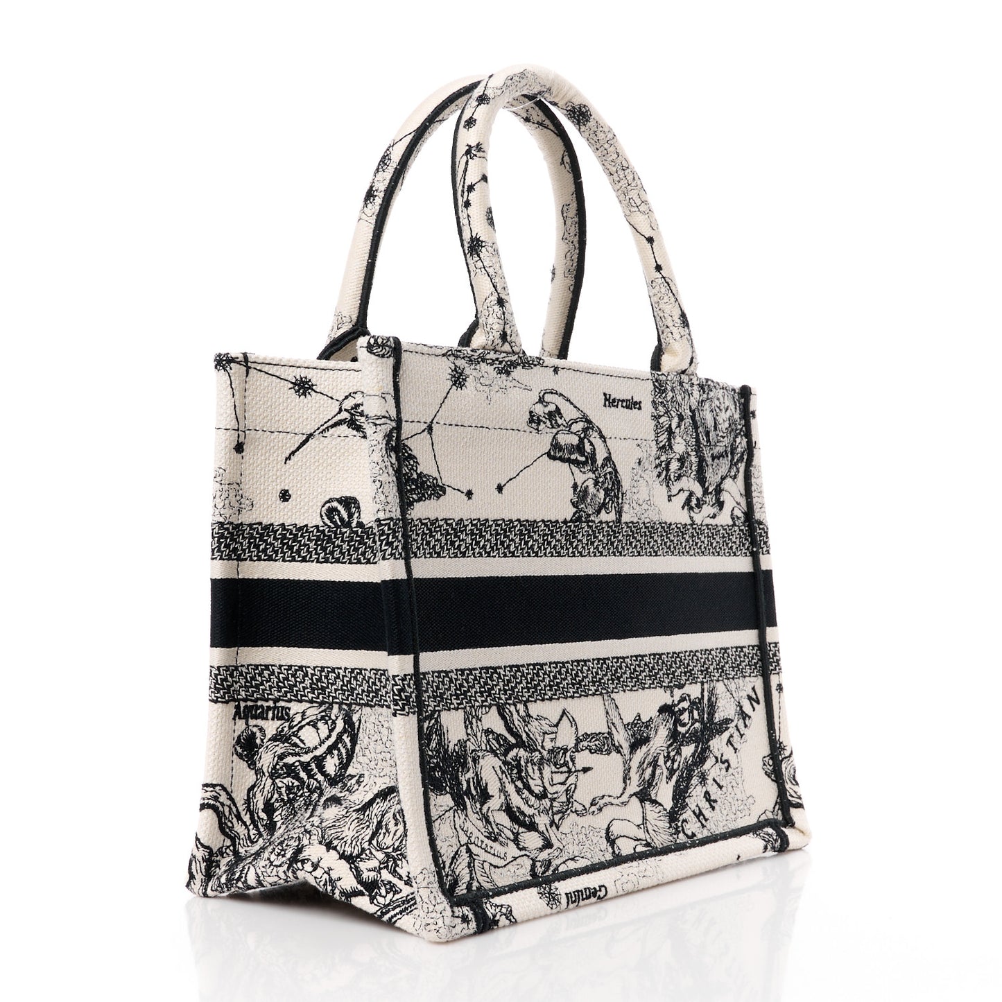 Canvas Embroidered Small Zodiac Toile De Jouy Book Tote Latte