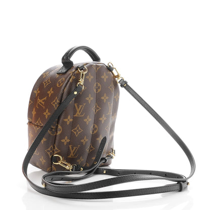Louis Vuitton Monogram Palm Springs Backpack Mini 3 of 8