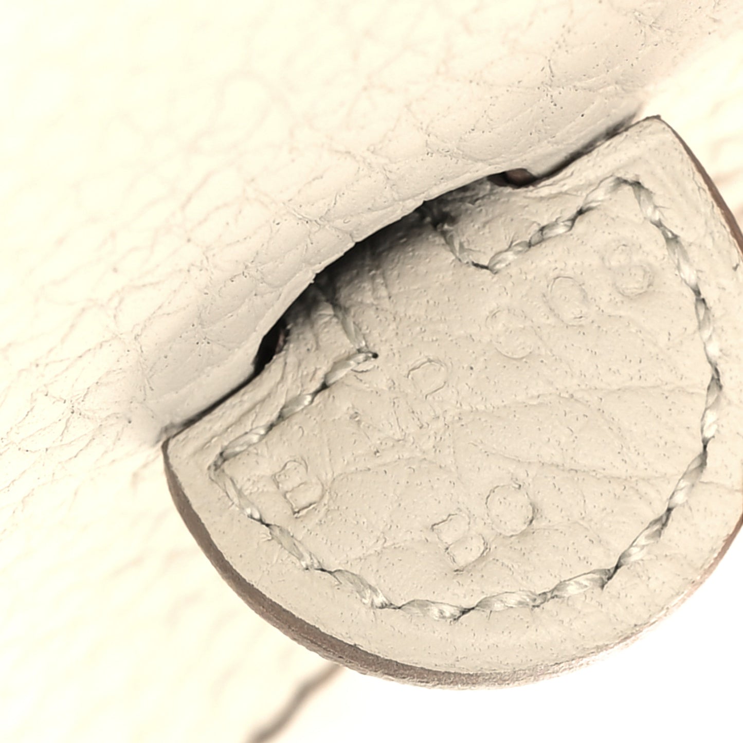 Taurillon Clemence Amazone Evelyne TPM Beton