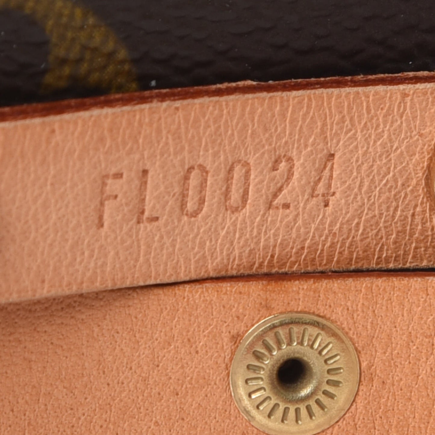 Monogram Pochette Florentine M