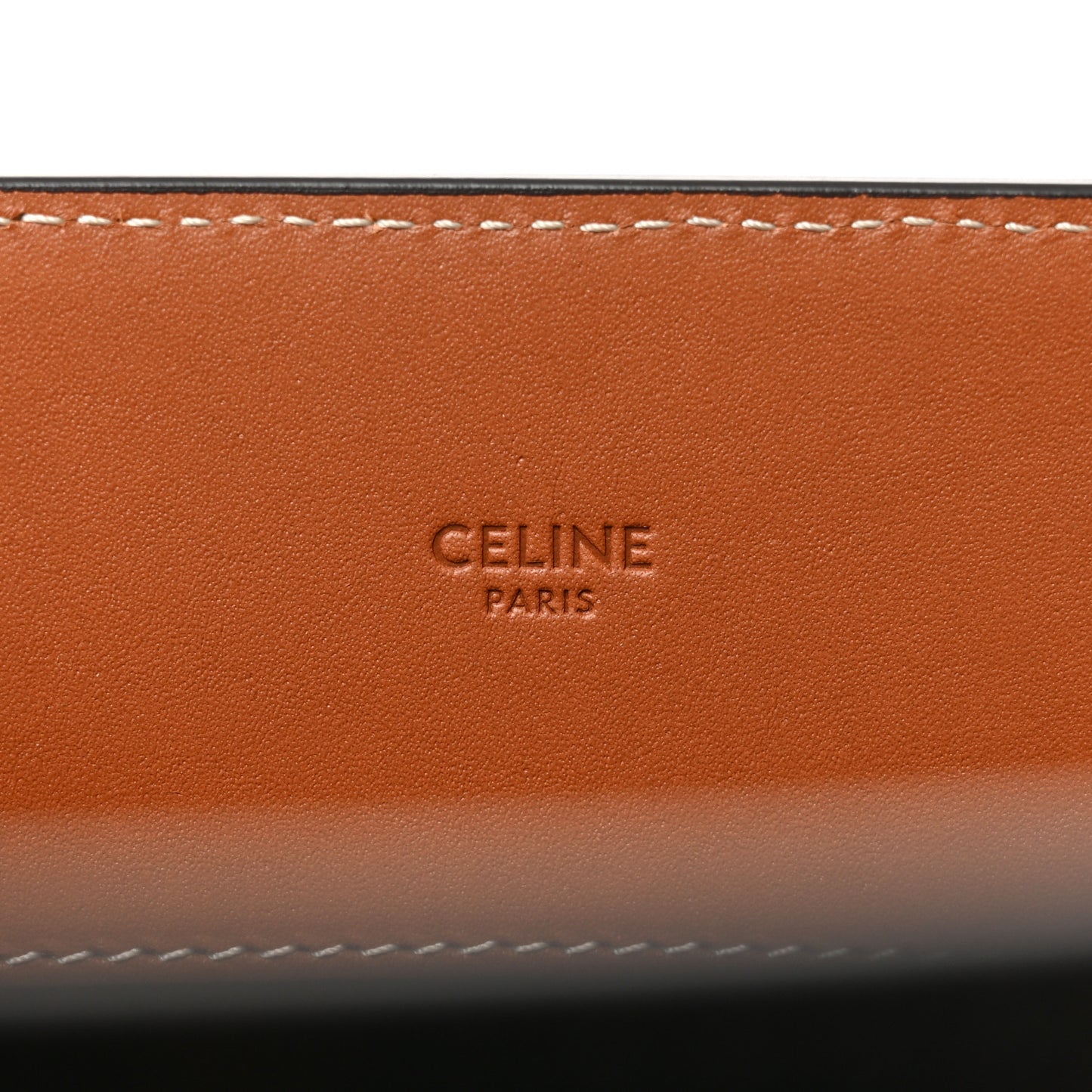 Triomphe Canvas Calfskin Large Vertical Cabas Tan