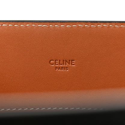 Celine Triomphe Canvas Calfskin Large Vertical Cabas Tan 6 of 9