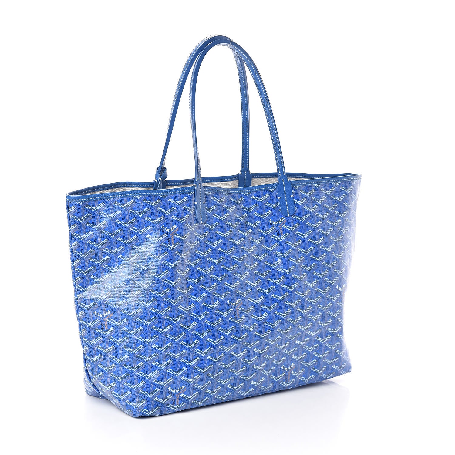 Goyard Goyardine Saint Louis PM Sky Blue 3 of 9