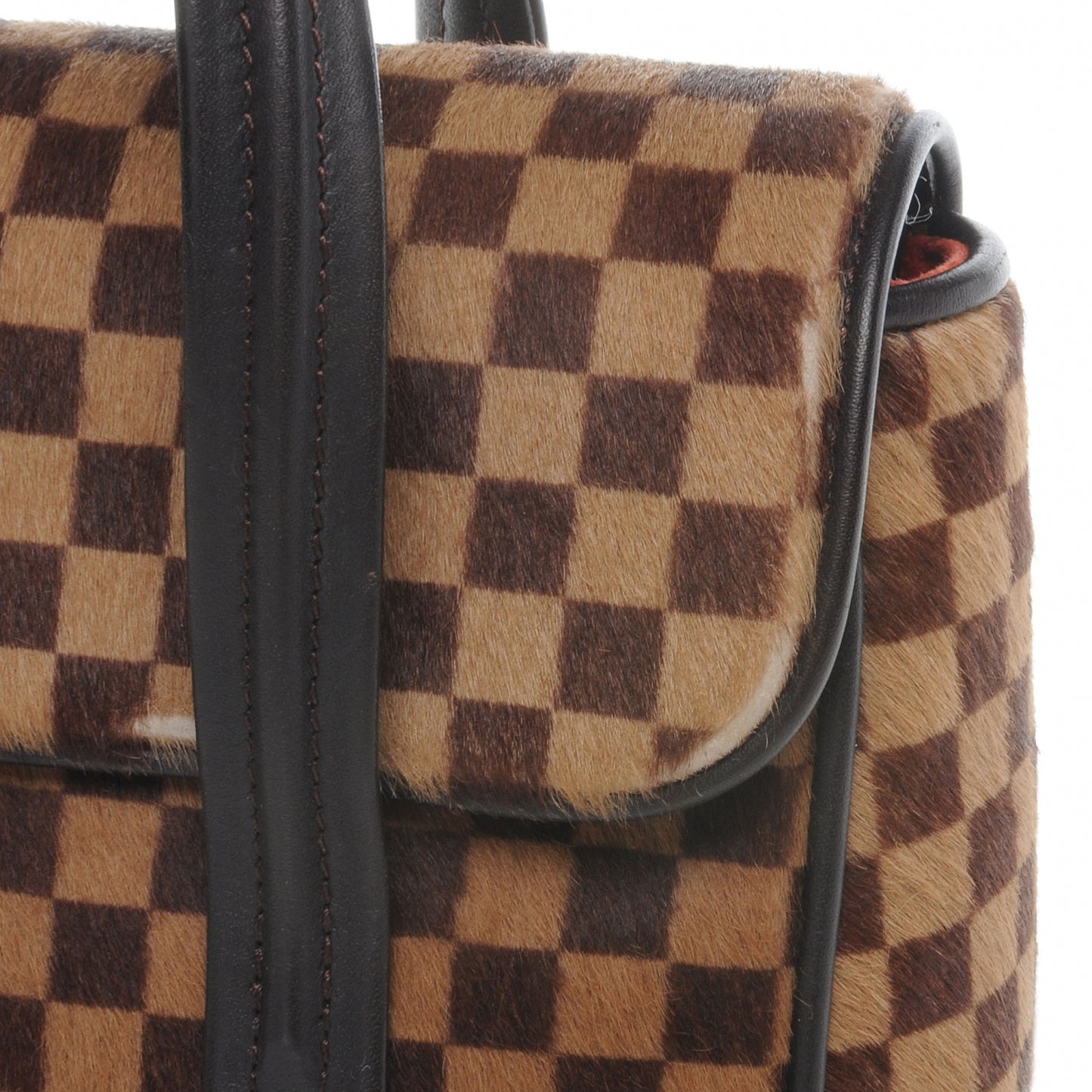 Damier Sauvage Lionne