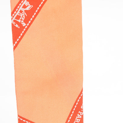 Hermes Silk Bolduc Twilly 8 of 9