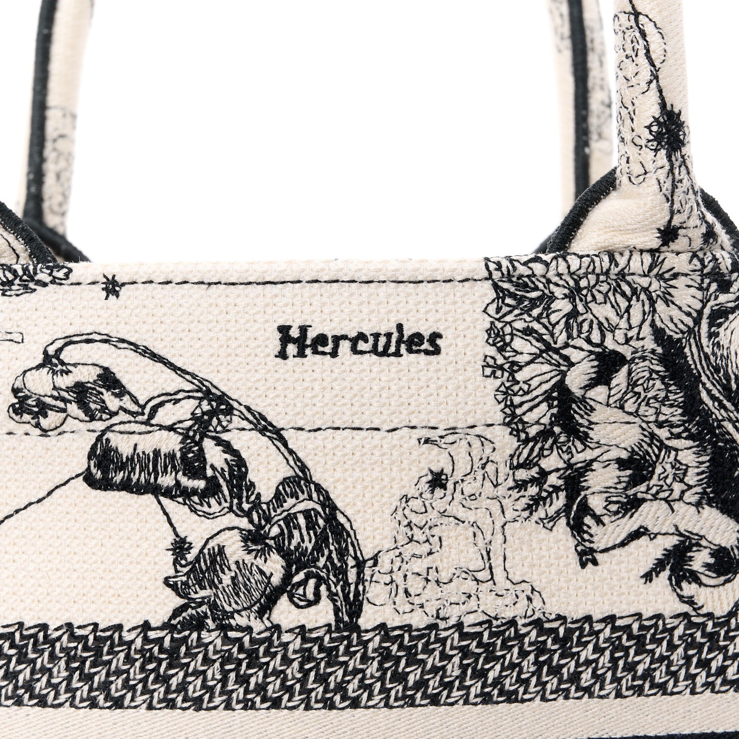 Canvas Embroidered Small Zodiac Toile De Jouy Book Tote Latte