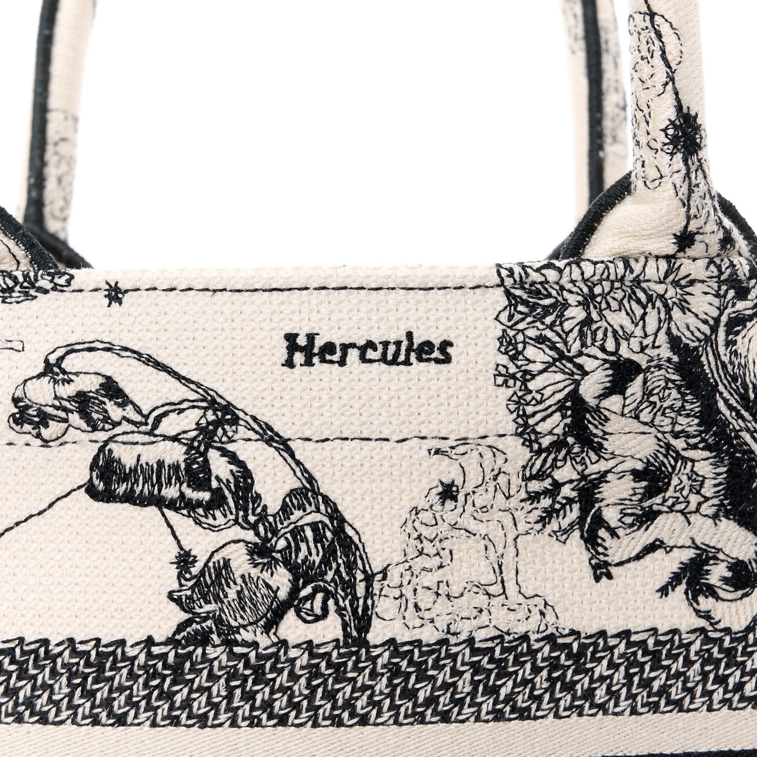 Christian Dior Canvas Embroidered Small Zodiac Toile De Jouy Book Tote Latte 11 of 12