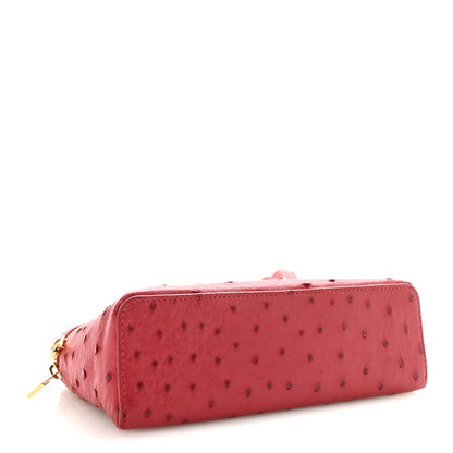 Loro Piana Ostrich L19 Extra Pocket Pouch 4 of 10