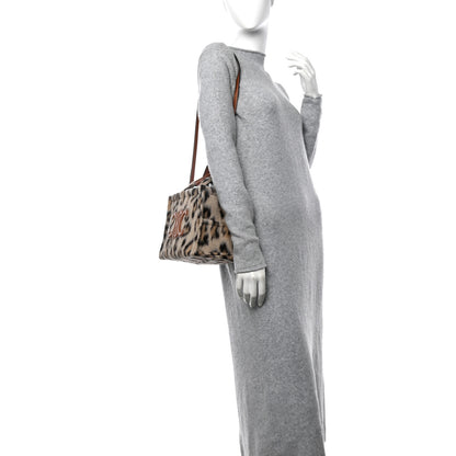 Celine Textile Canvas Triomphe Small Cabas Thais Leopard 3 of 9