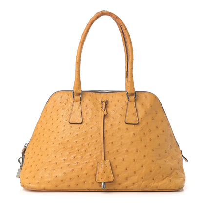 Prada Ostrich Frame Bowler Soleil 1 of 23