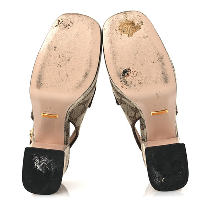Gucci Monogram Kid Scamosciato Horsebit Platform 25/85mm Slingback Mules 35.5 Beige Ebony New Acero 7 of 12