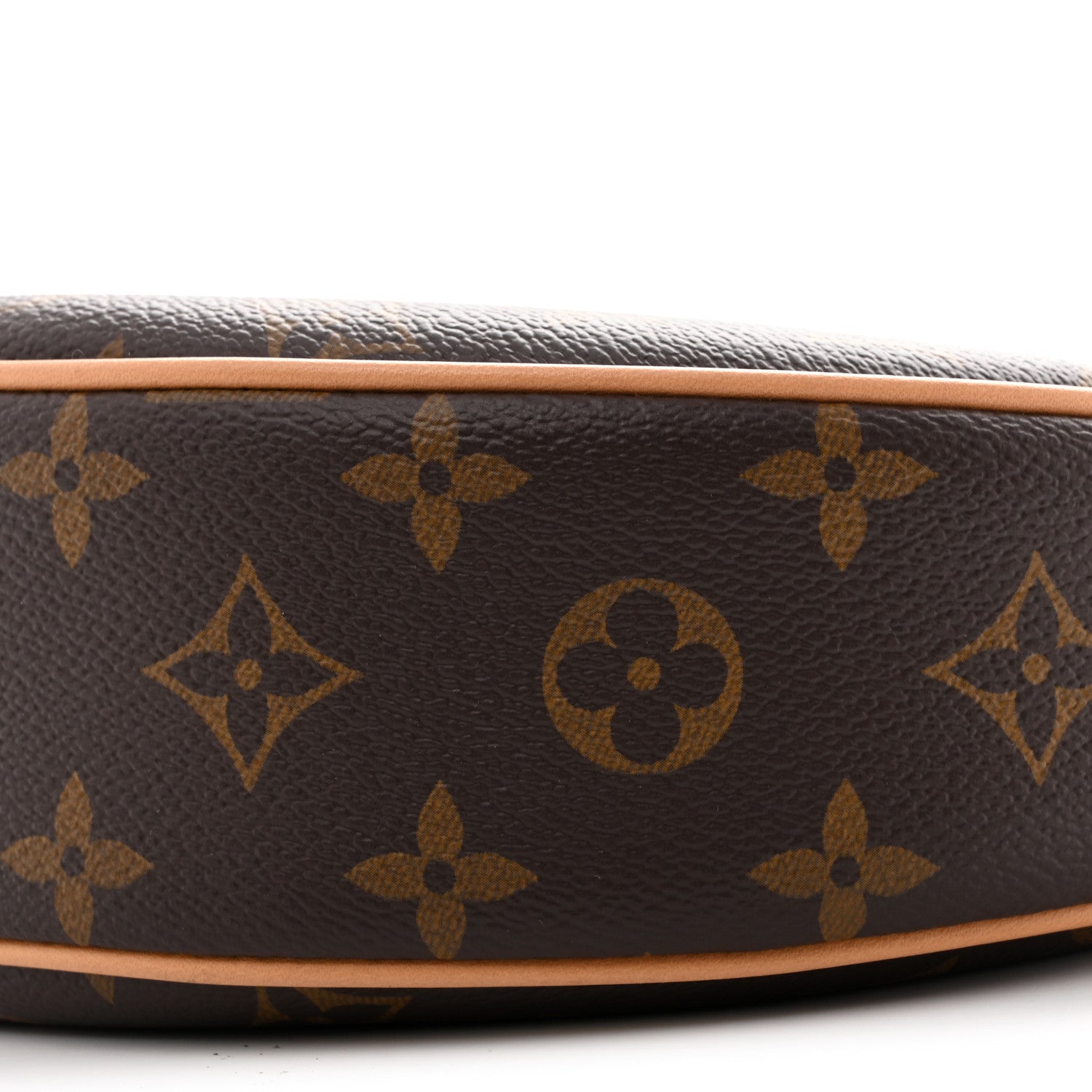 Louis Vuitton Monogram Loop 9 of 11