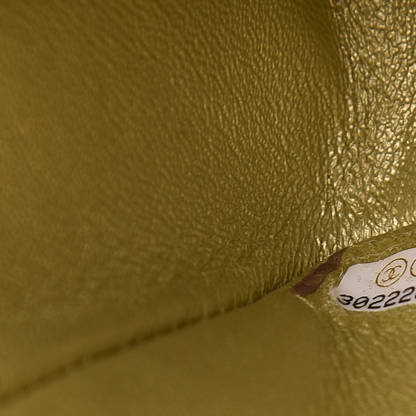 Metallic Goatskin Quilted Mini 2.55 Reissue Flap Multicolor