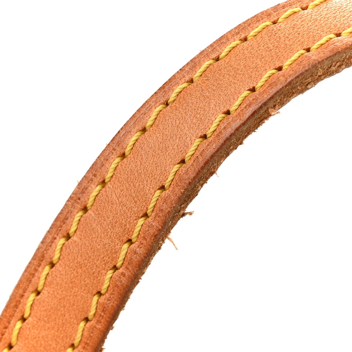 Monogram Papillon 30 with Companion